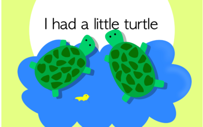 I had a little turtle